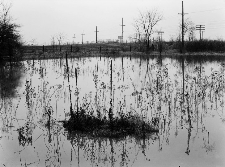 Harry Callahan - Fondation Henri Cartier-Bresson
