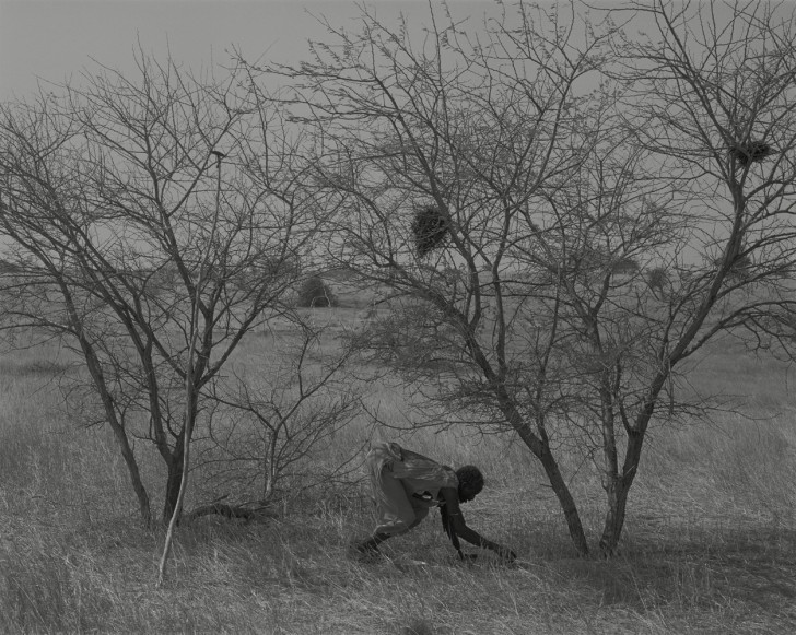 302-23. Ahmed Abdulah Ahmed / Jawama People / Tidjamé Clan / Peasant / Gum arabic harvest / Edlbacha el Galab / Um Badr / North Darfur / Jan. 2002